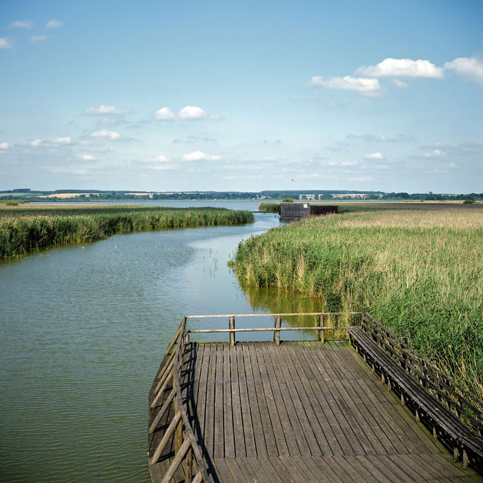 Natur- und klimaschutzwichtige Flächen