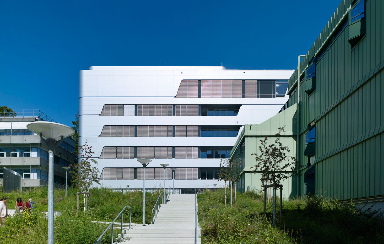 Neubau Center for Visual Computing of Collectives Außenansicht