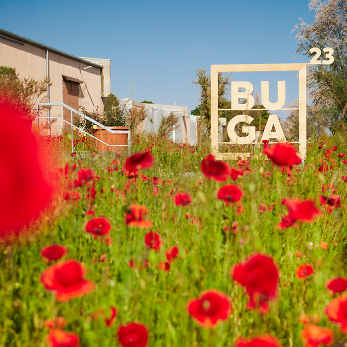 Mohnblumen mit Buga-Logo auf Wiese