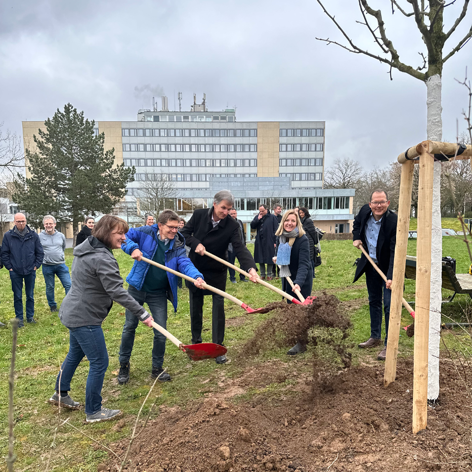 Spatenstich beim Pflanzen der Bäume