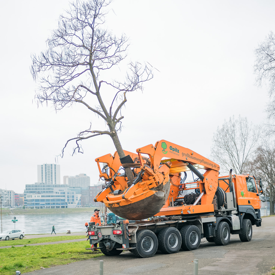 Transportfahrzeug mit Großbaum